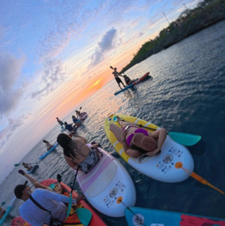 paddle.png
