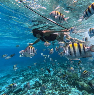 snorkel.png